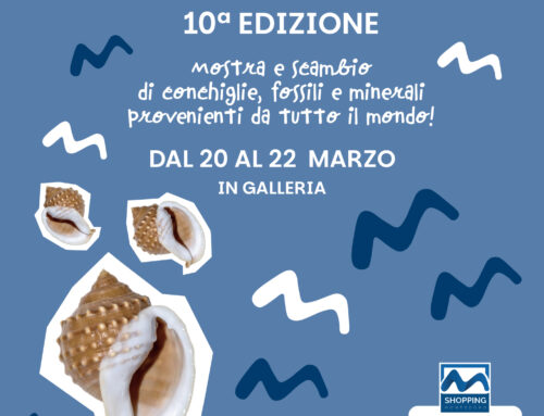 🐚✨ NESIE SHELL SHOW – 10ª EDIZIONE ✨🐚